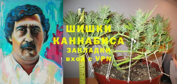 амф Алексин