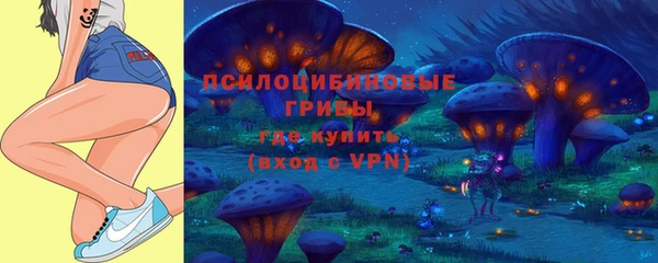 амф Алексин
