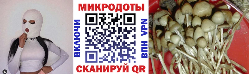 Псилоцибиновые грибы ЛСД Ардатов